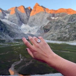 Anillo Diana Rosa de Francia 2