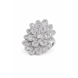 Anillo SILVANA